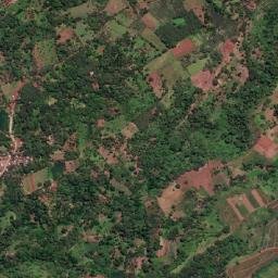 Hinapalanan map(satellite map)