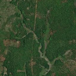 Tonkolili District map(satellite map)