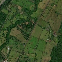 Guayabal map(satellite map)