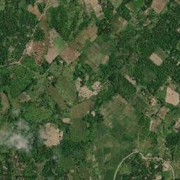 Bato map(satellite map)