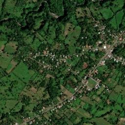 Gómez map(satellite map)