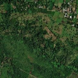 Sortova map(satellite map)