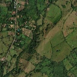 Guaca Arriba map(satellite map)