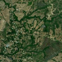 Cañaveral map(satellite map)