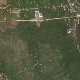 Pines map(satellite map)