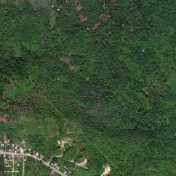 Tagbina map(satellite map)