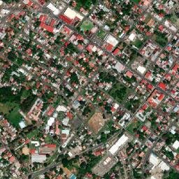 David map(satellite map)