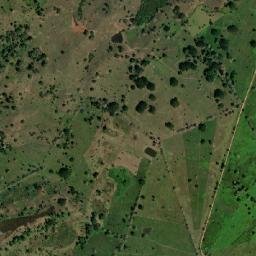 San Pedro de Uraba map(satellite map)