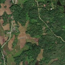 Talacogon map(satellite map)