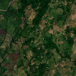 Camarón Arriba map(satellite map)