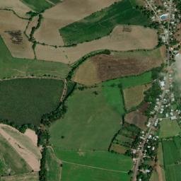 Guarumal map(satellite map)