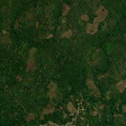 La Guinea map(satellite map)