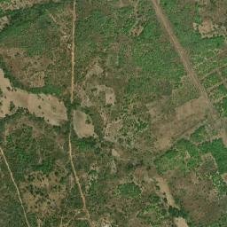 Hambol map(satellite map)
