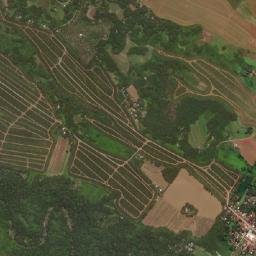 Pongol map(satellite map)