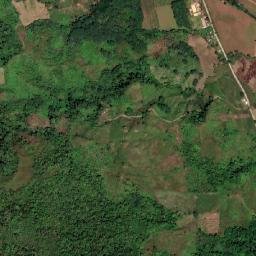 Busdi map(satellite map)