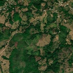 Cerro Viejo map(satellite map)