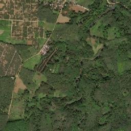 Lingion map(satellite map)