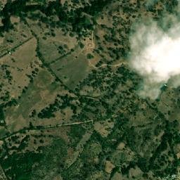 Río de Oro map(satellite map)