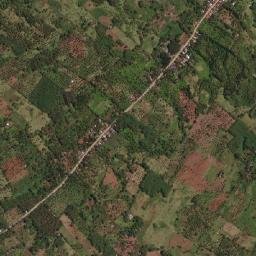 Sergio Osmeña Sr map(satellite map)