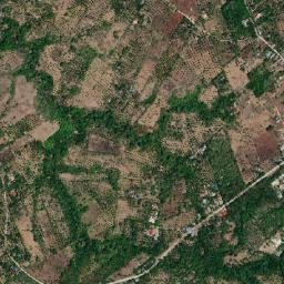 Liloy map(satellite map)
