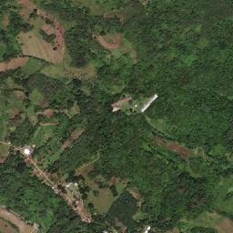 Cosina map(satellite map)