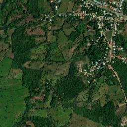 Los Algarrobos map(satellite map)