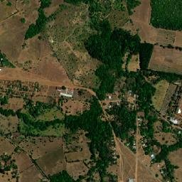 Lolá map(satellite map)