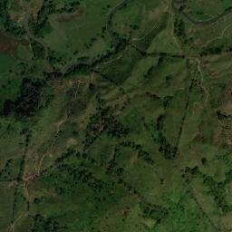 Puerto Vidal map(satellite map)