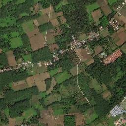 Pawak map(satellite map)