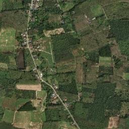 Amphoe Bang Khan map(satellite map)