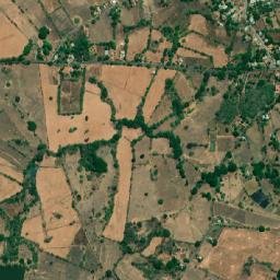 Los Olivos map(satellite map)