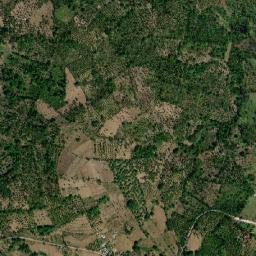 Kagawasan map(satellite map)