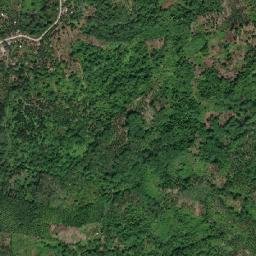 San Vicente map(satellite map)