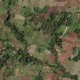 Pualas map(satellite map)