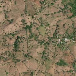 Cedro Arriba map(satellite map)
