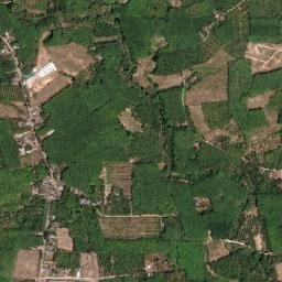 Amphoe Wang Wiset map(satellite map)