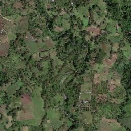 Calanogas map(satellite map)