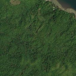 Leones Arriba map(satellite map)