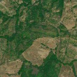La Palma map(satellite map)