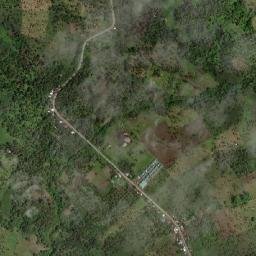 Bayanga map(satellite map)