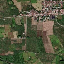 La Libertad map(satellite map)