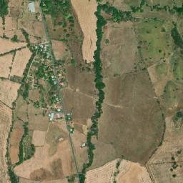 Flores map(satellite map)