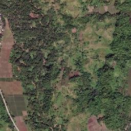 Tigbao map(satellite map)