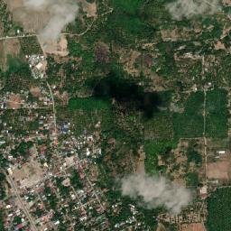Alamada map(satellite map)