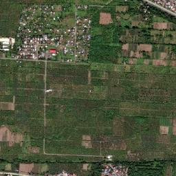 Alejal map(satellite map)