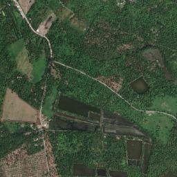 Bincoñgan map(satellite map)