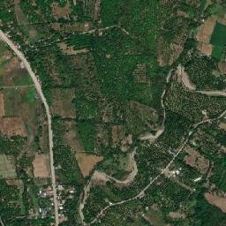 Alamada map(satellite map)