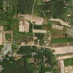 Amphoe Pak Phayun map(satellite map)