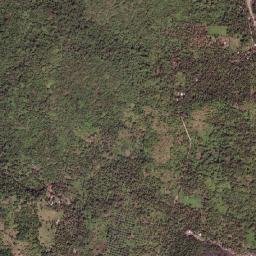 Muti map(satellite map)