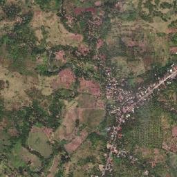Buenavista map(satellite map)
